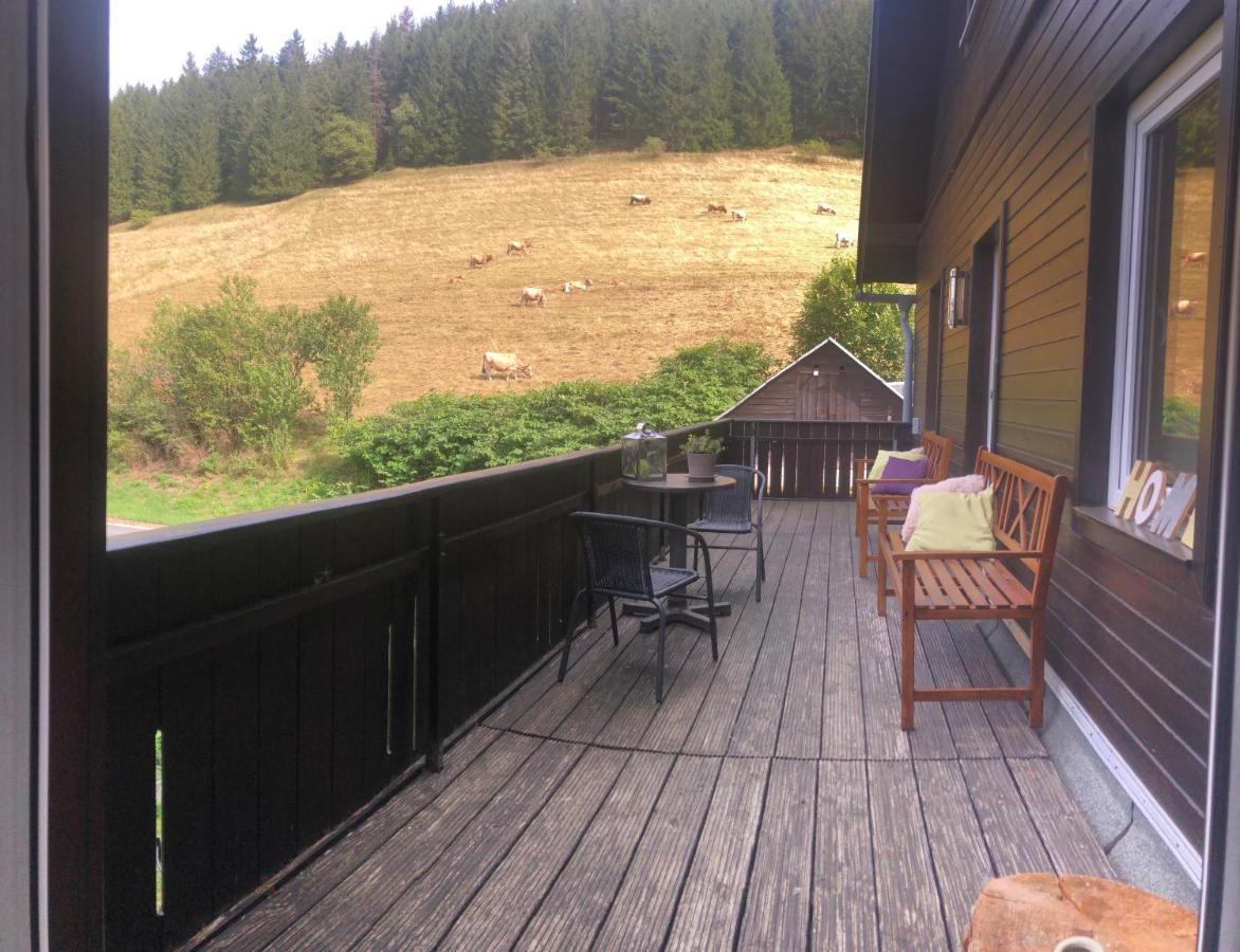 Familie Obere Juchhe, Vakantiewoning En Gräfenthal